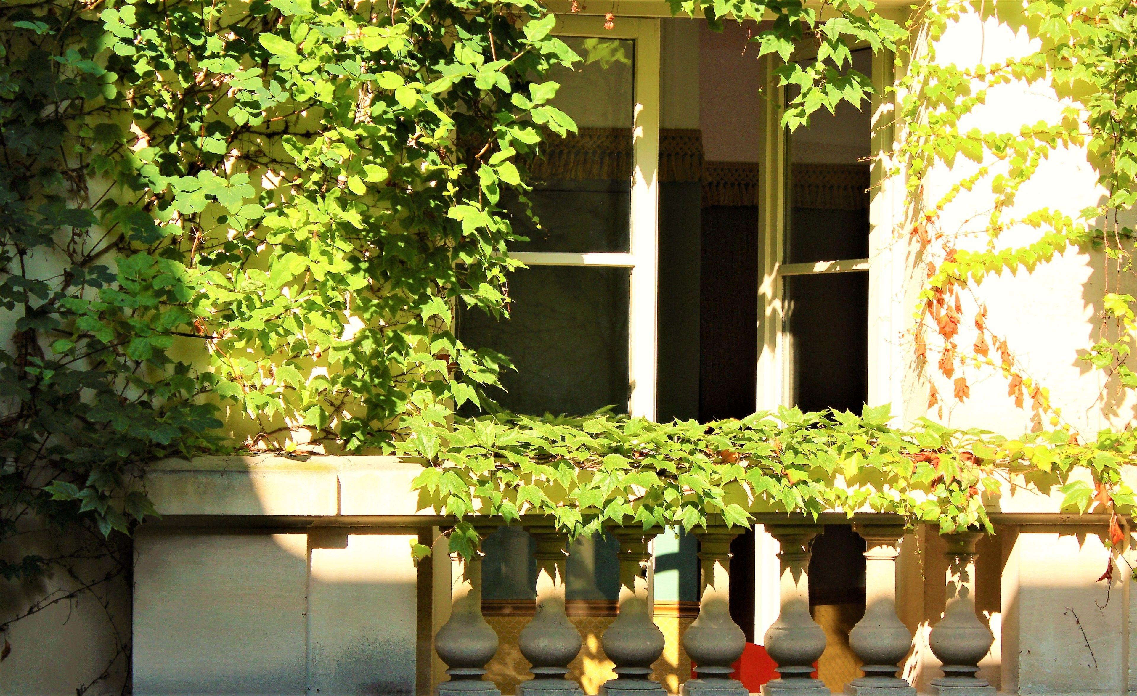 Hotel Le Relais Saint Sulpice 4*